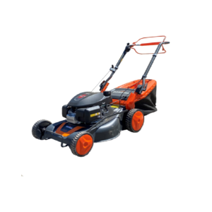 Tondeuse à gazon